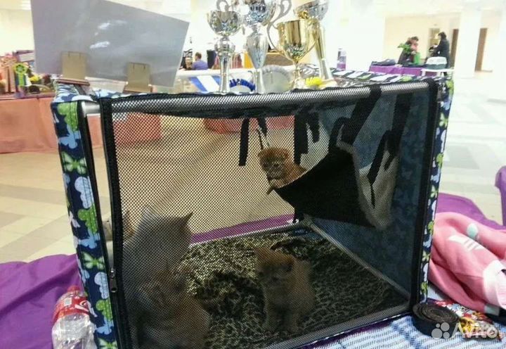 Выставочная палатка для кошек