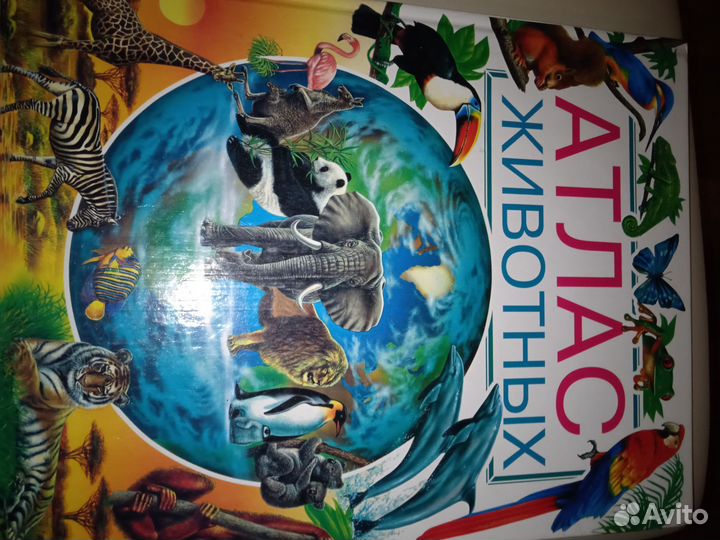 Атлас животных