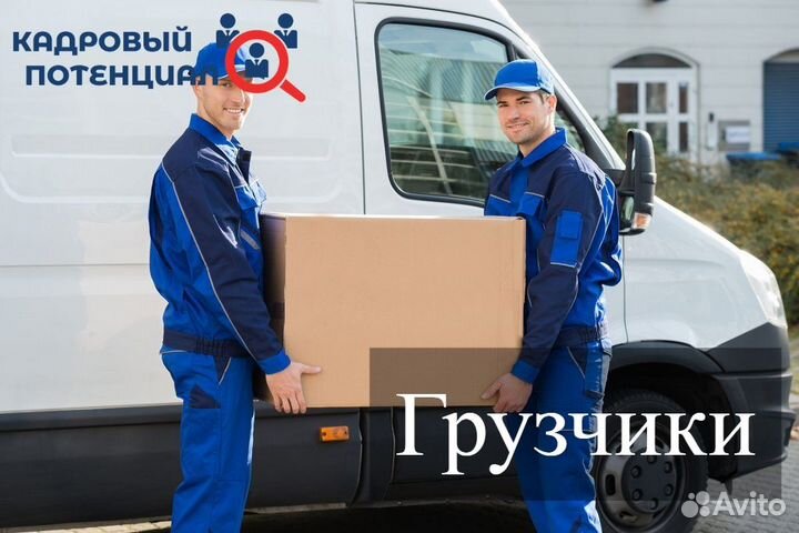 Работа. Свободный график. Оплата каждый день