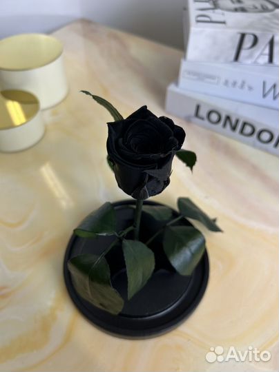 Чёрная роза. Роза не вянущая