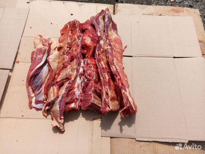 Мясо говядина
