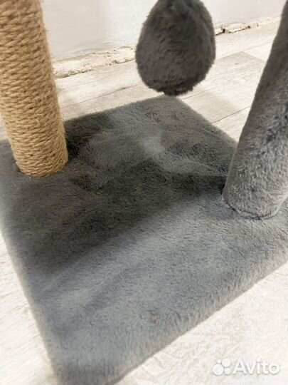 Когтеточка для кошек новая