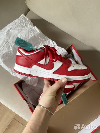 Nike sb Dunk low red