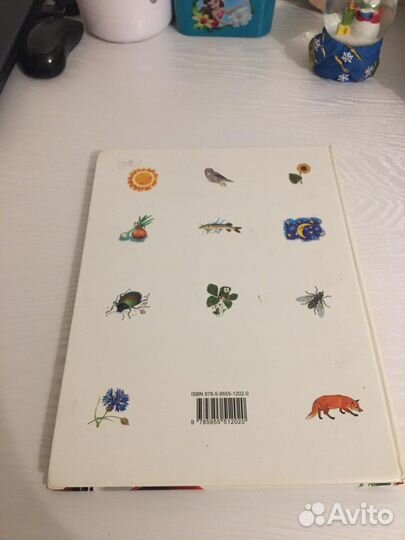 Большая книга загадок