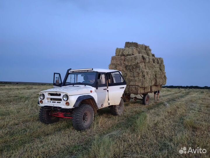Сено в тюках