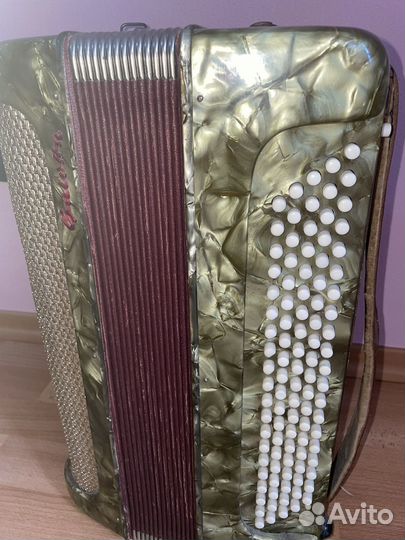 Баян итальянский