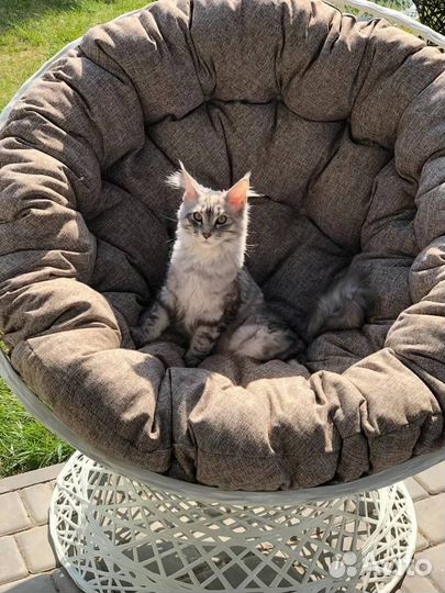 Набор плетенной садовой мебели Папасан