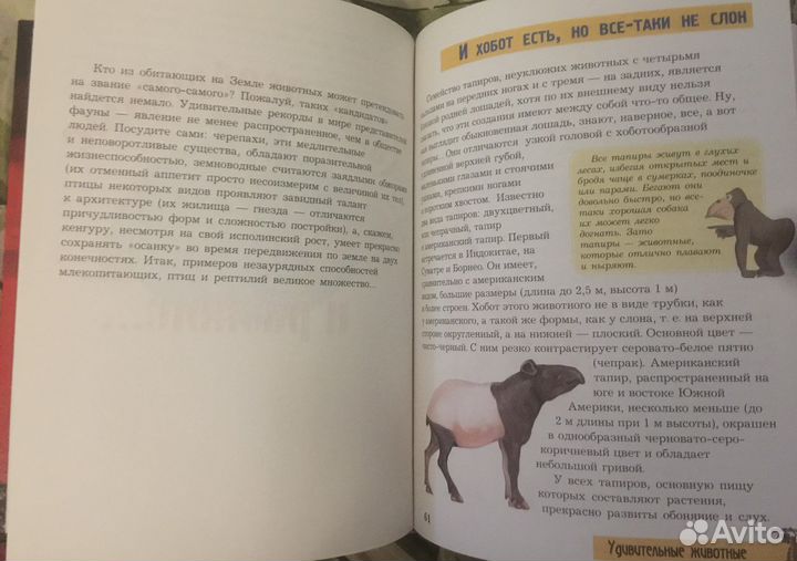 Книга «Удивительные животные»