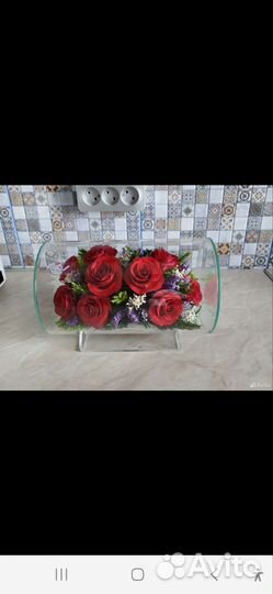 Комнатные цветы