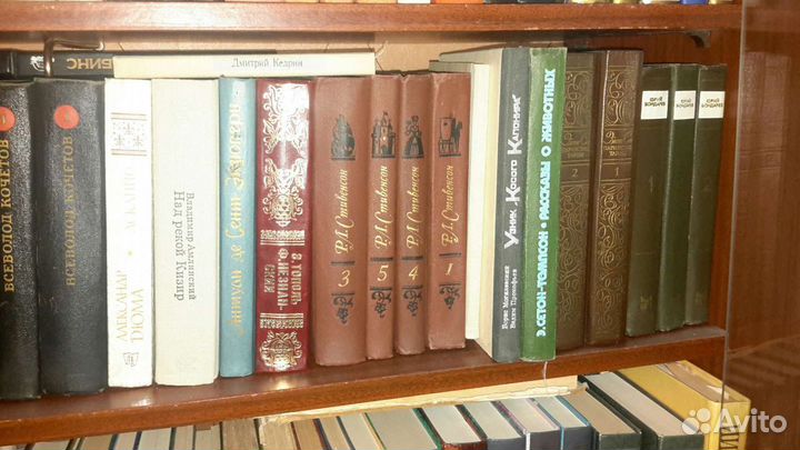 Домашняя библиотека