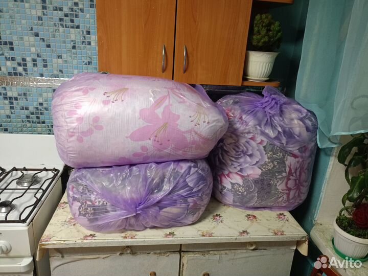 Гусиные перья