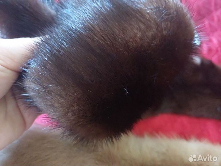 Шкурки норки