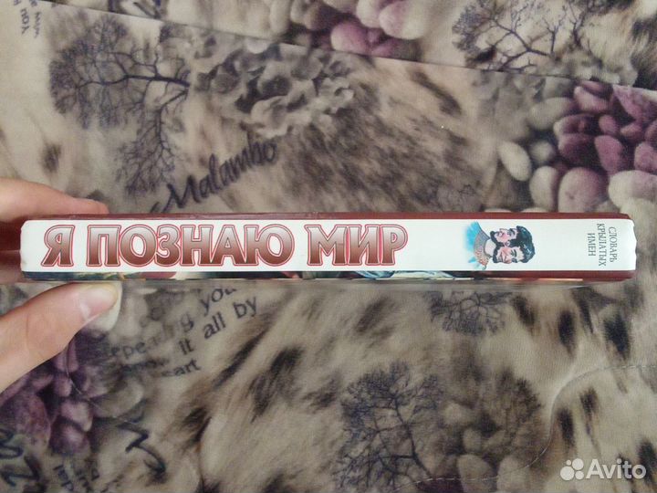 Энциклопедия 