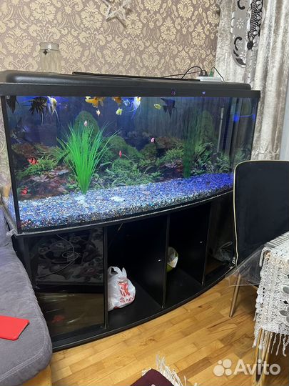 Аквариум с тумбой лучший декор для помещения