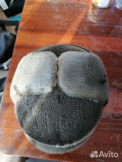 Мужская шапка из меха нерпы