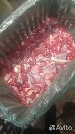 Мясо говядина котлетное