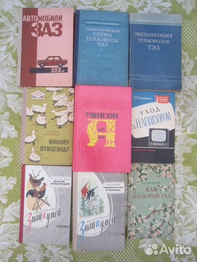 А.П. Вальдес. Сестра Сан-Сульписио. 1984 год