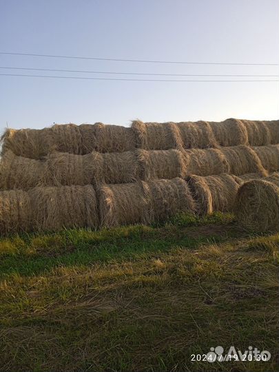 Продам сено в рулонах
