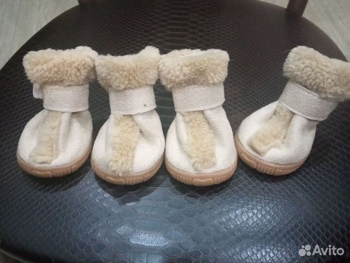 Ботинки для маленьких собак