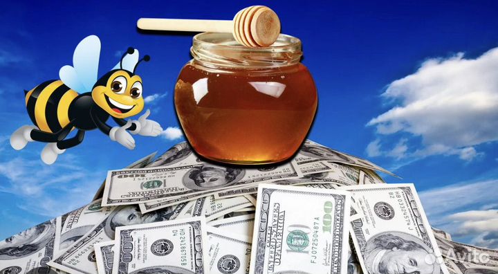 Продавец консультант