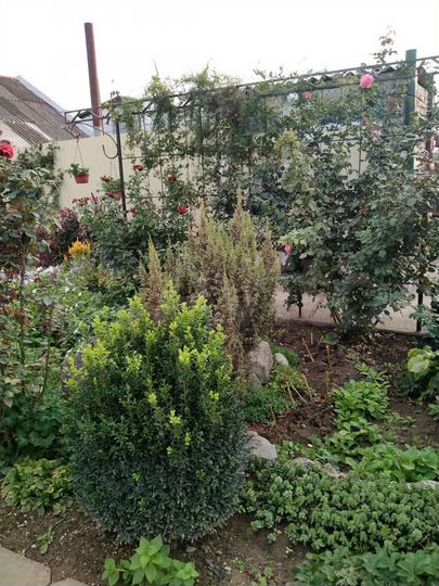 Дом 150 м² на участке 12 сот.