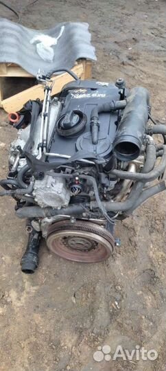 Двигатель Volkswagen Caddy 3 (2004 - 2015) 2.0 BKD