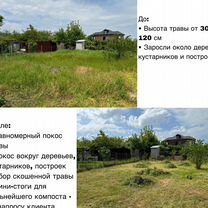 Покос травы триммером, Афипский