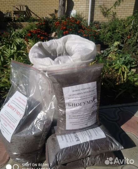 Биогумус. Удобрение для растений