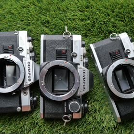 Новое поступление olympus OM-10 3шт