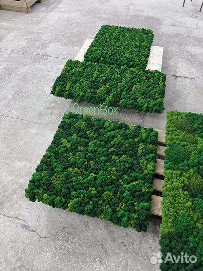 Панель из мха 90*90см