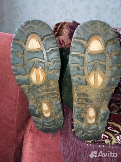 Забродники