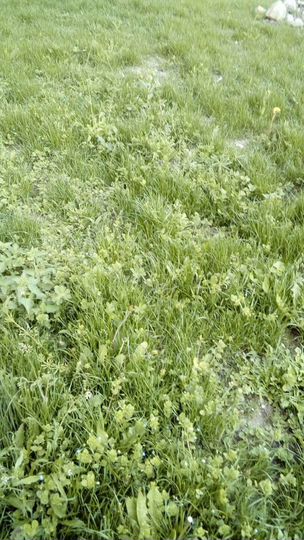 Участок 13 сот. (ИЖС)