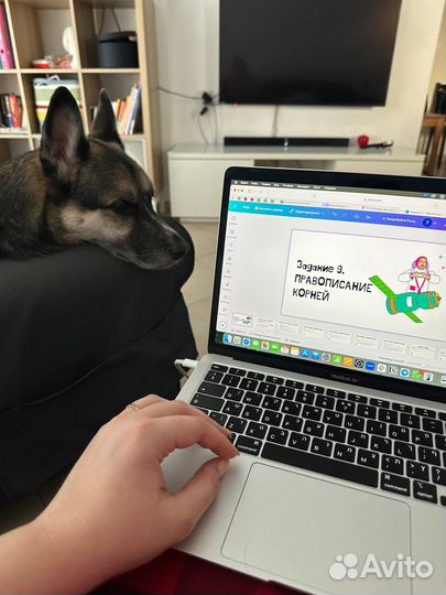 Репетитор по русскому языку ЕГЭ ОГЭ