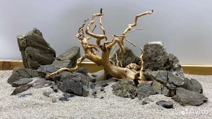 Камни, коряги, грунты