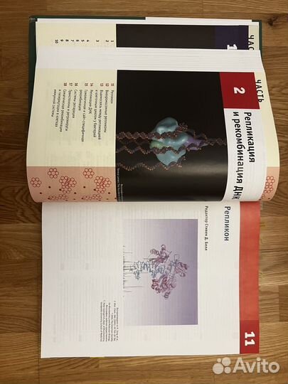 Гены по Льюису