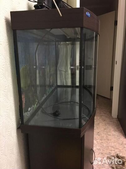 Аквариум с тумбой 200 литров