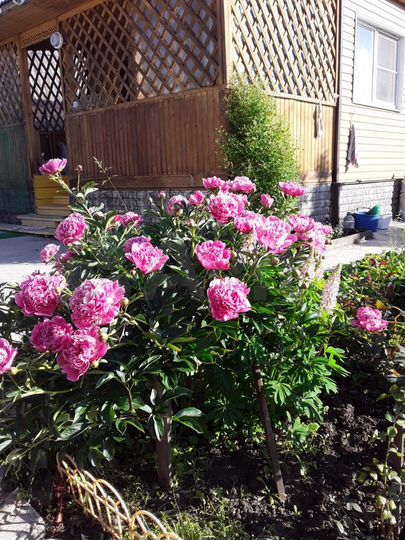 Дом 79 м² на участке 6 сот.