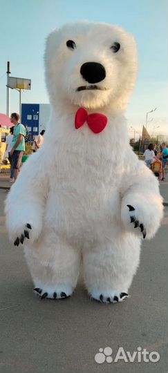 Белый мишка поздравление