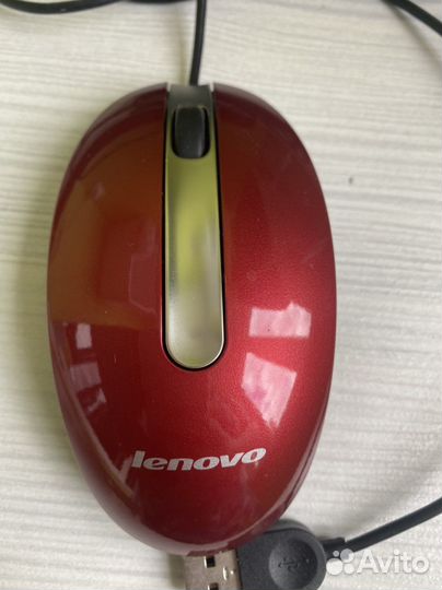 Мышь компьютерная