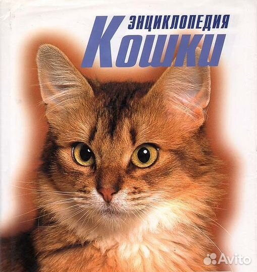 Энциклопедия кошки
