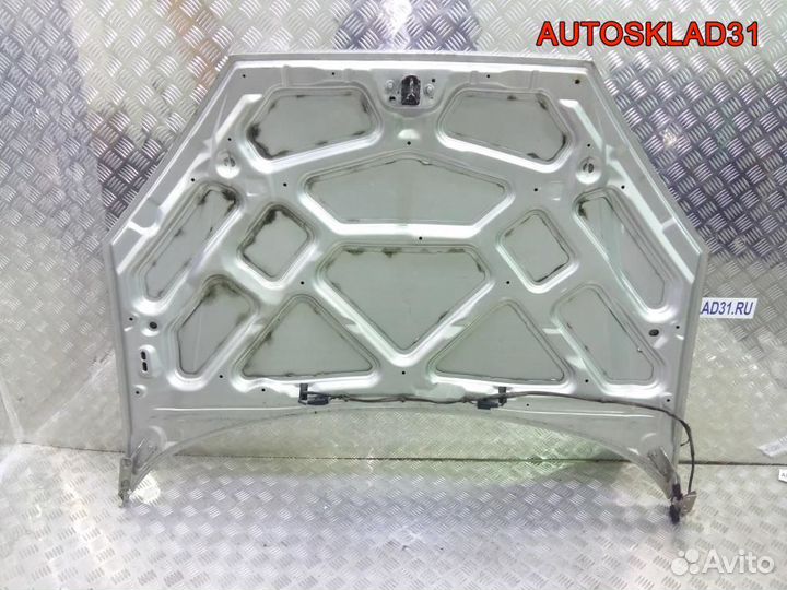 Капот Ford Focus 1 1430131