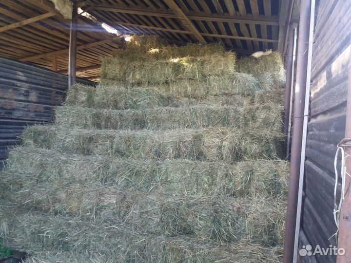 Сено в кипах