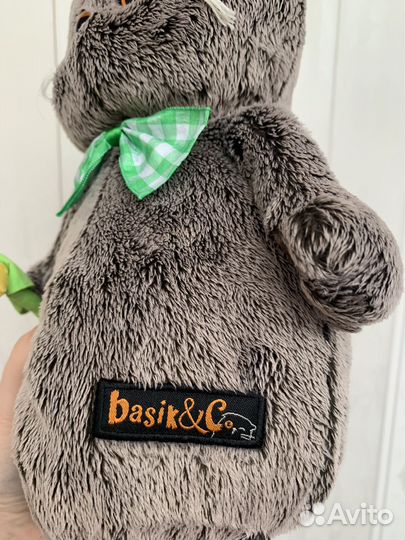 Кот басик