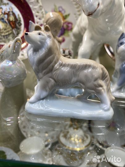 Собаки Германия