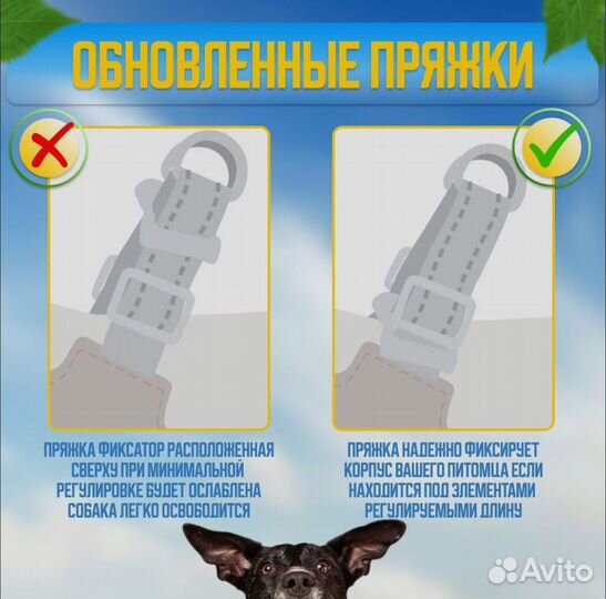 Анатомическая шлейка для собак средних пород