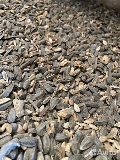 Комбикорм семечка на корм