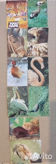Карманные календарики, животные