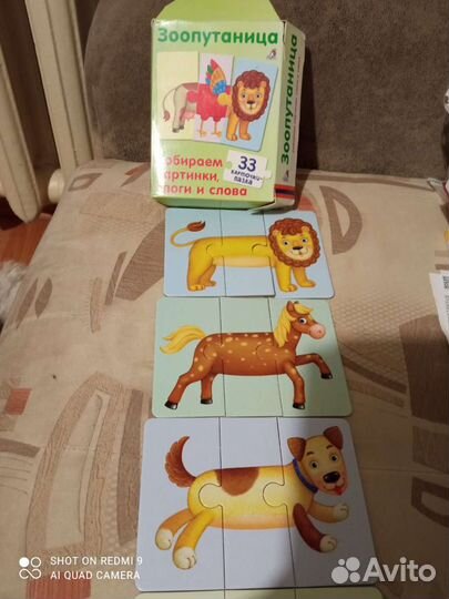 Зоопутаница