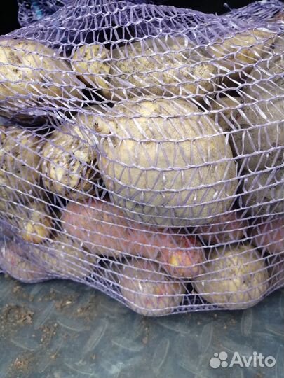 Картофель деревенский крупный