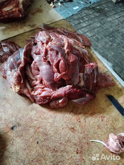 Мясо говядина для собак